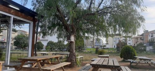 pequeno-cafe-5 (1)